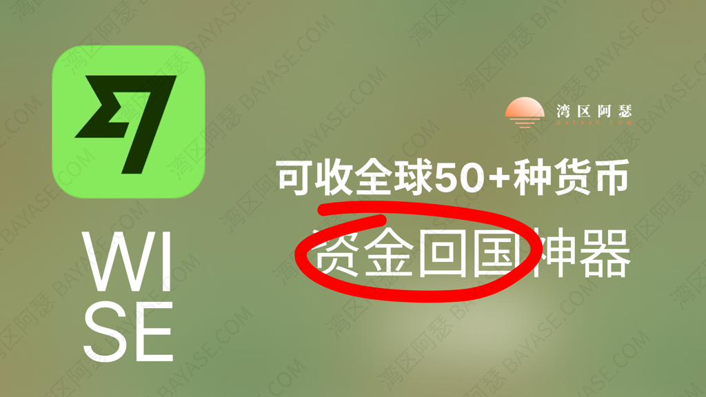 Smart Cross-Border Payments with Wise: A Complete Guide for Side Hustlers