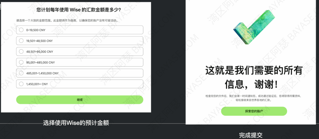 提交预计使用wise汇款的大致金额