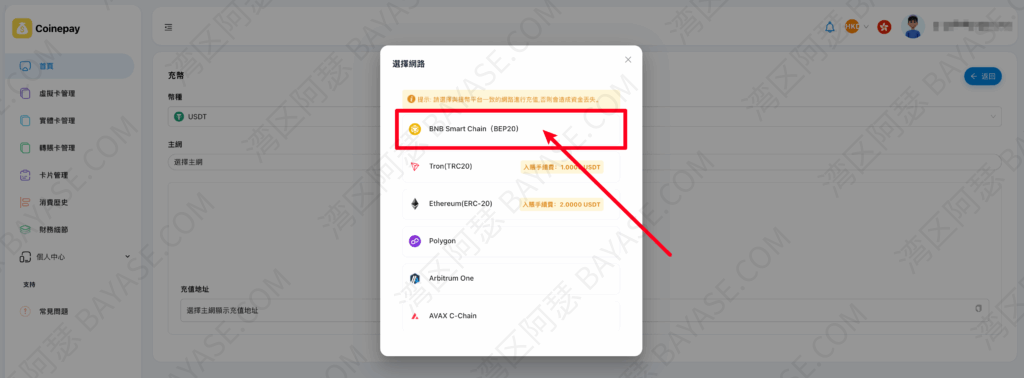 CoinePay充值网络