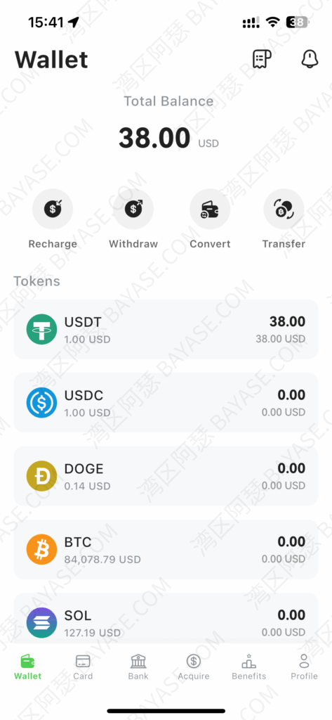 DogPay wallet interface showing how to open a DogPay account, including DogPay wallet features and setup steps for new users using DogPay virtual card services