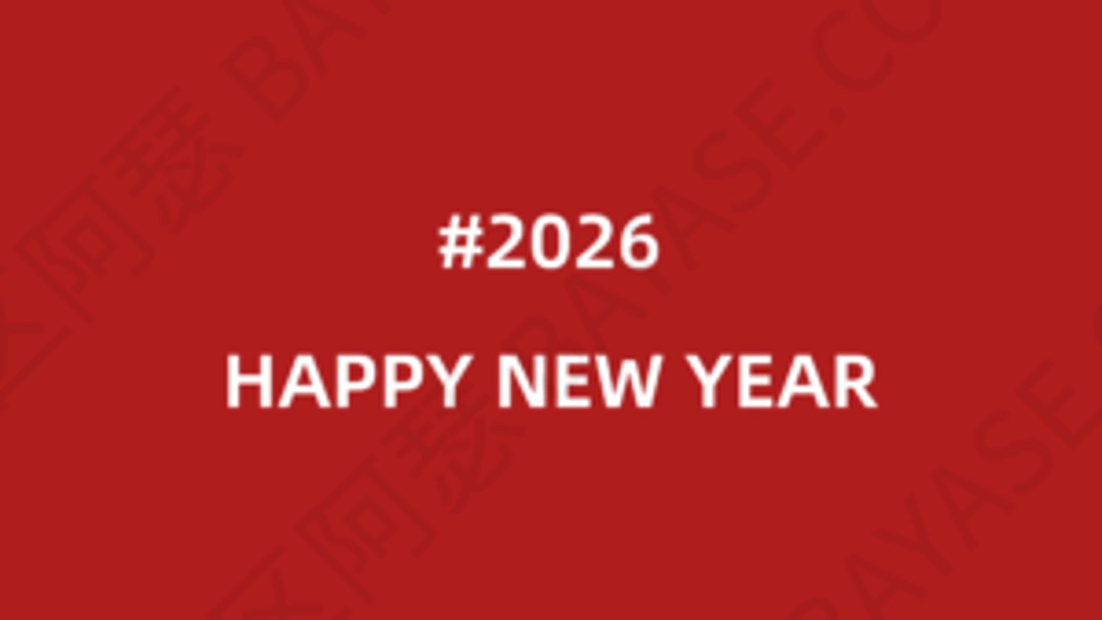 2025年终总结：不上班的一年，我如何靠独立站与港卡项目实现“收入自由”？
