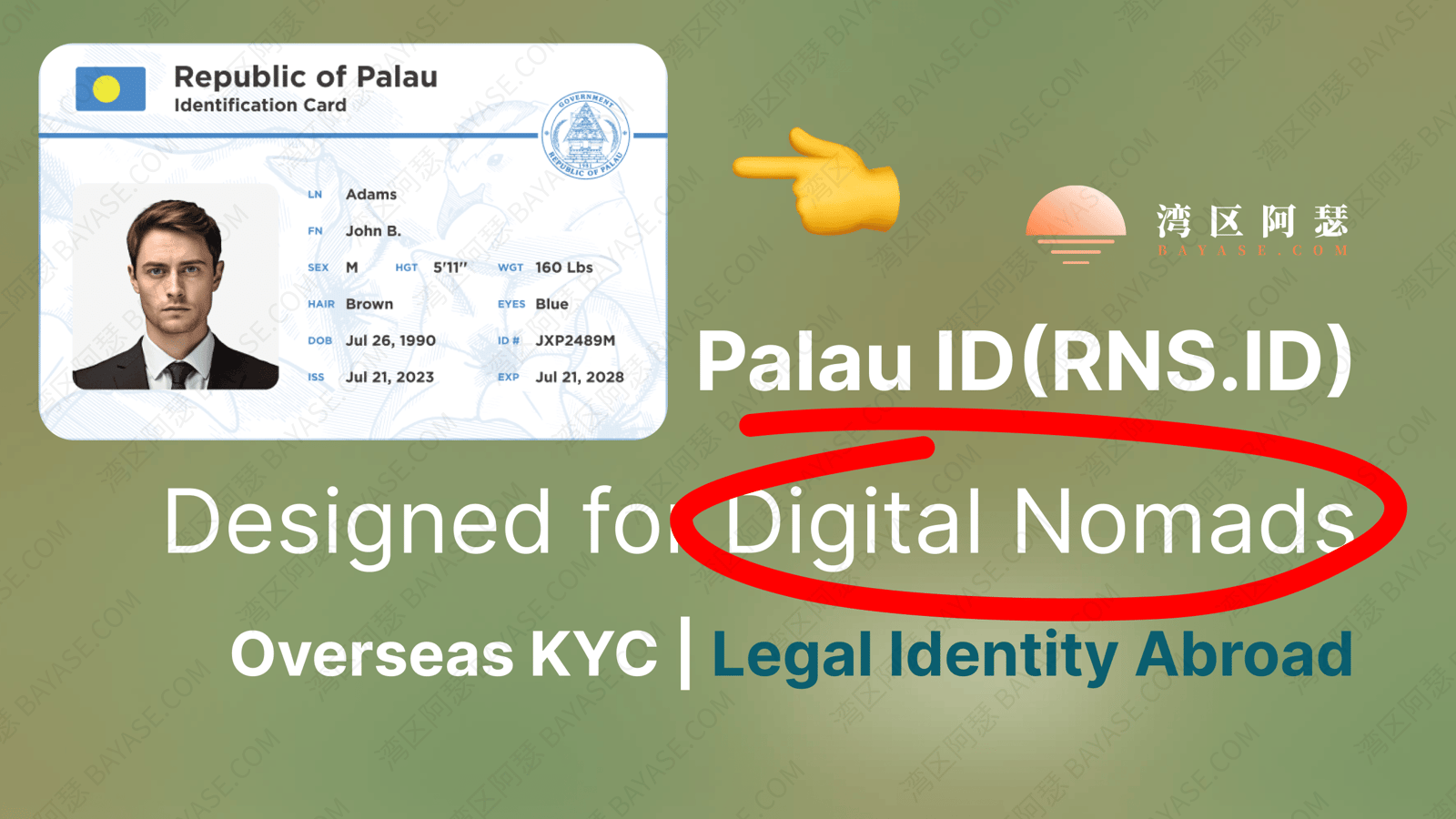 Palau ID Application Tutorial (2026): How to Apply, Uses, Fees & Pitfalls – The Complete Guide