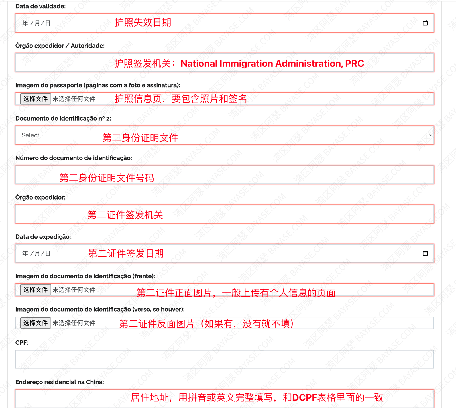 巴西CPF申请指南，信息填写步骤3