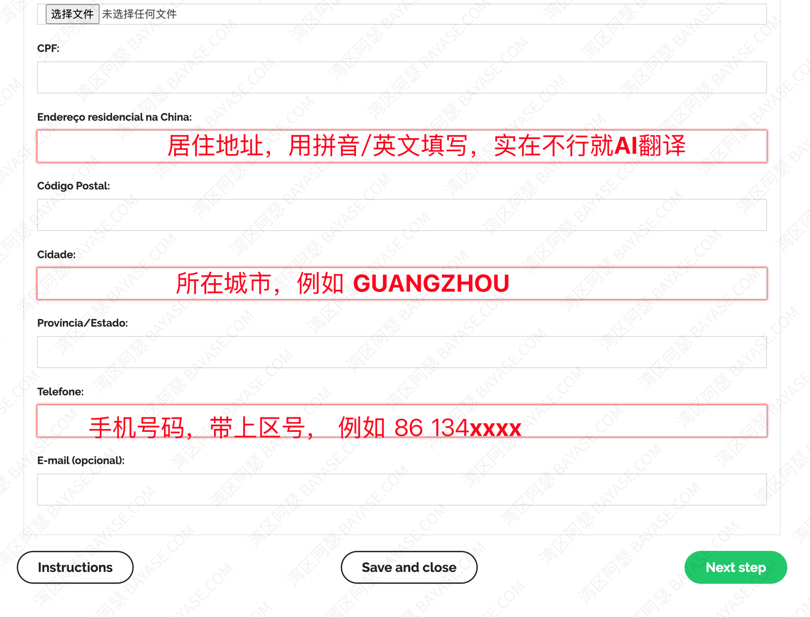 巴西CPF申请指南，信息填写步骤4