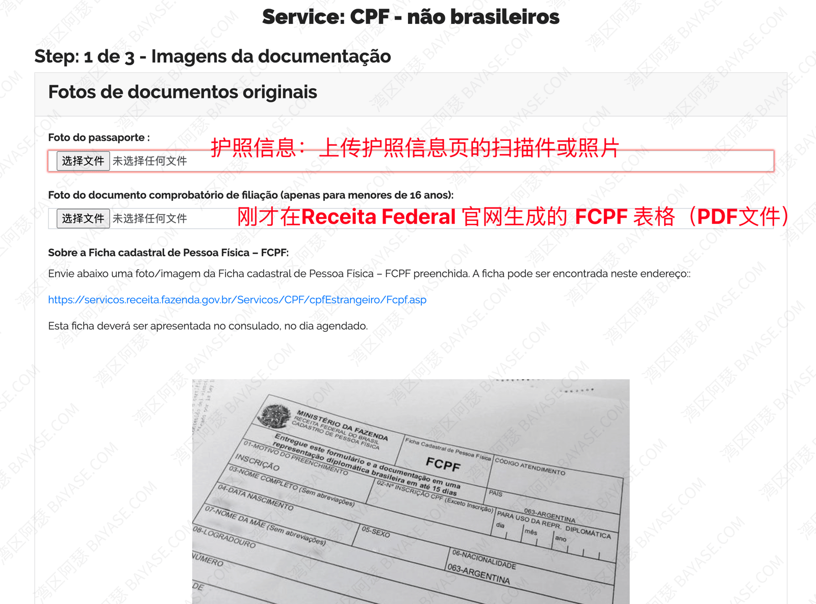 巴西CPF申请指南，信息填写步骤1