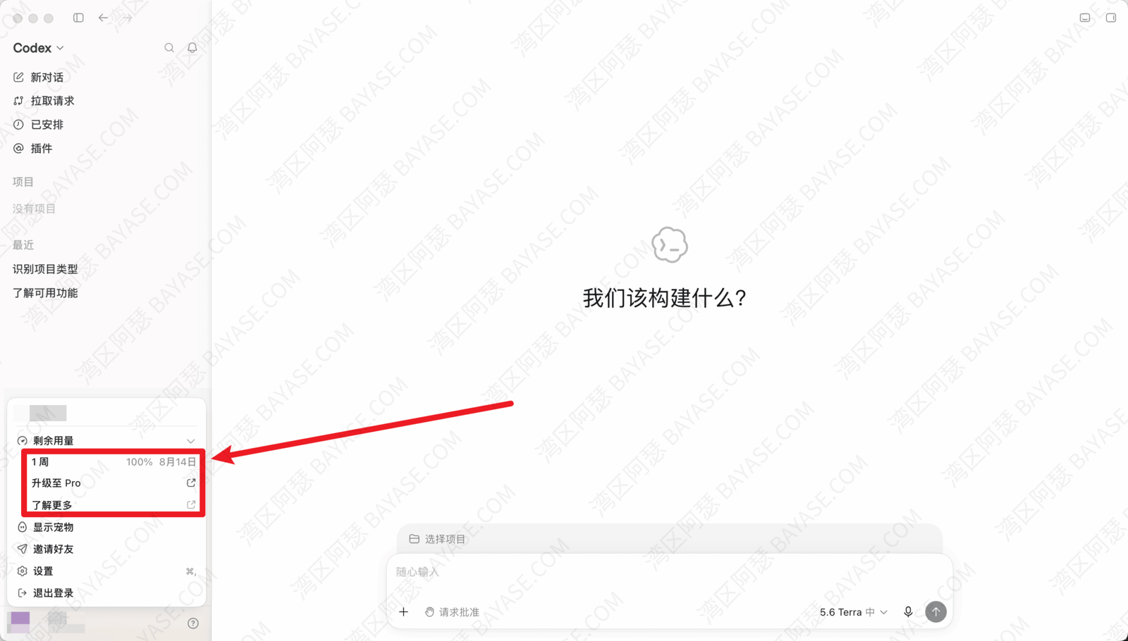 怎么开通Codex? 虚拟卡开通成功后成功进入 Codex 客户端或 Codex 页面的界面截图