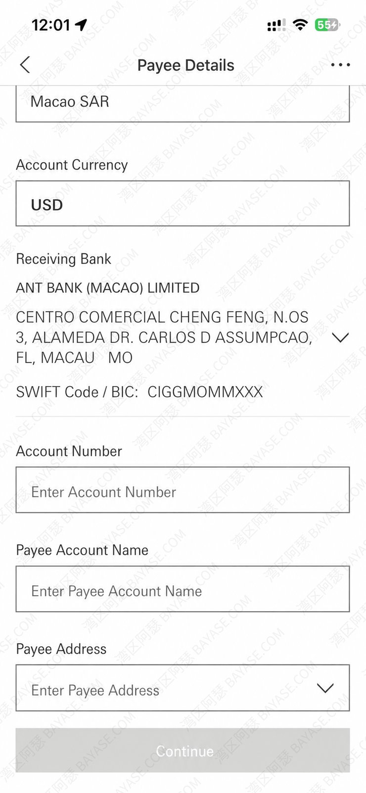 SWIFT remittance details form